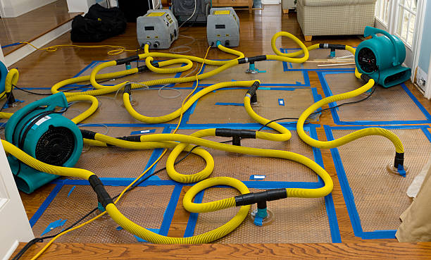 Professional Water Damage Repair technician working in Thompson, MO